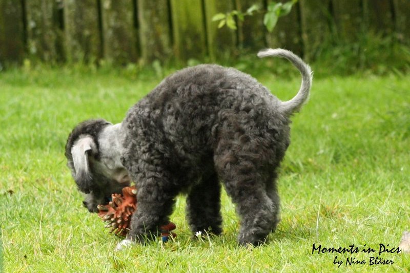 Antares 2009-07-12 (13).JPG